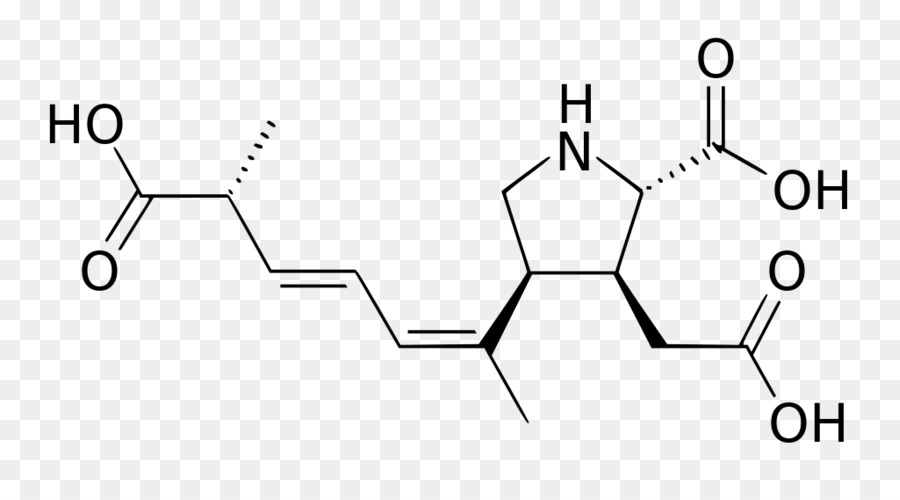 Estructura Química，Molécula PNG