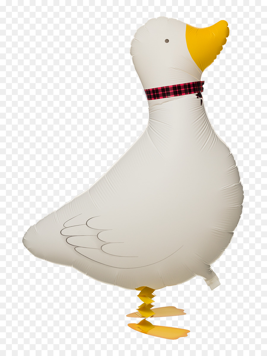 Pato，Gallina Nacionales PNG