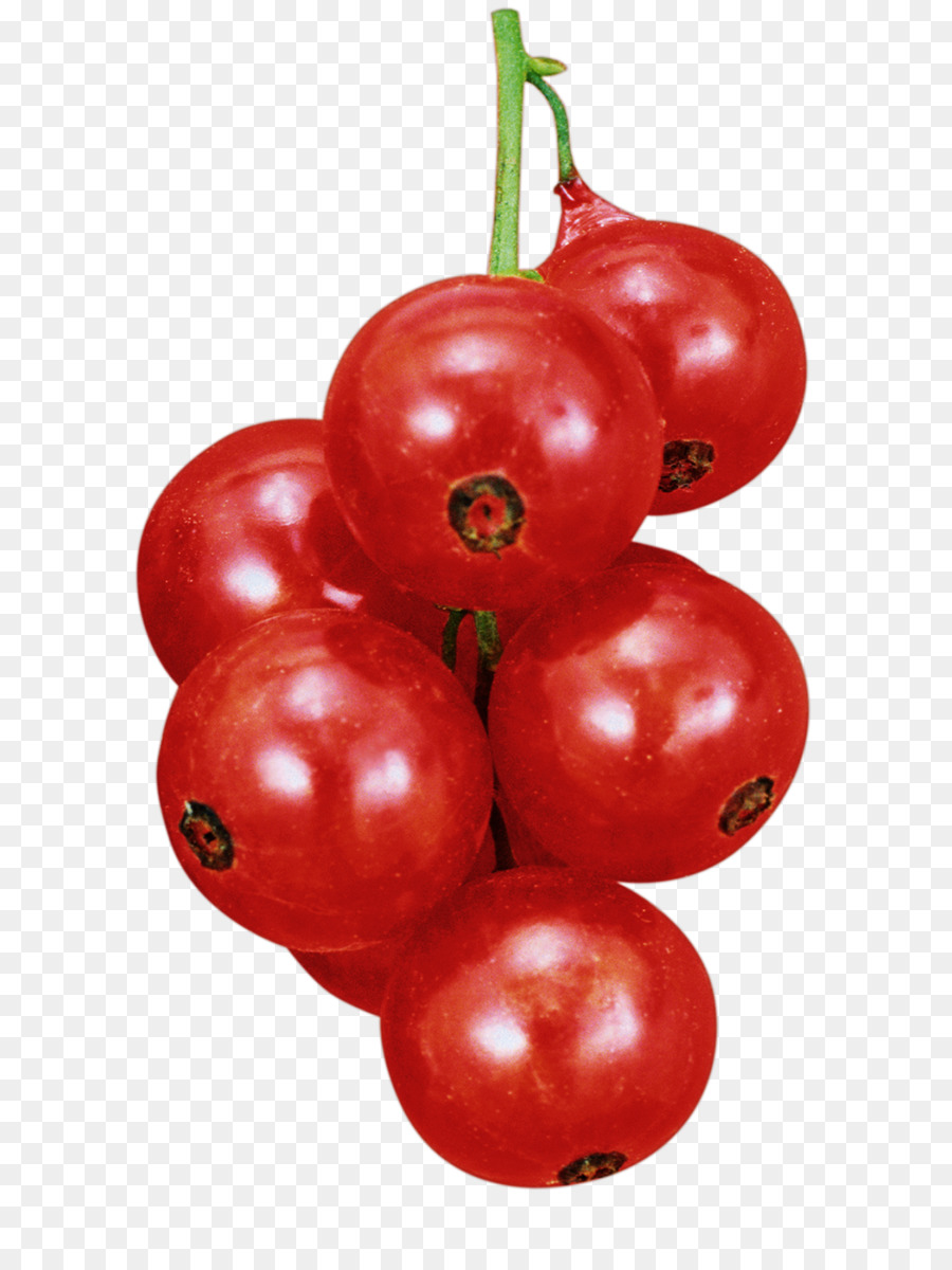 Tomate Ciruela，Arándano Rojo PNG