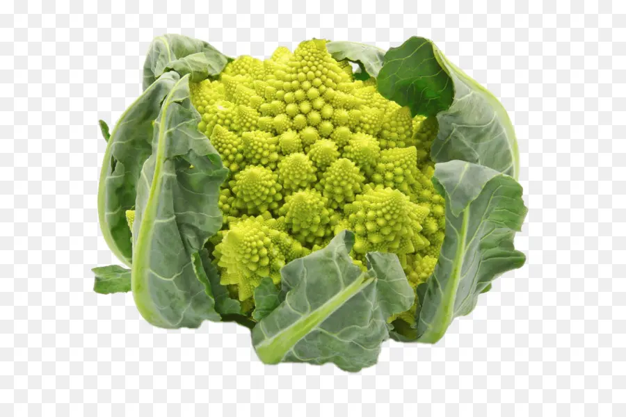 Brócoli Romanesco，Brócoli PNG