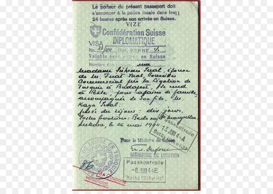 Visa Diplomática Suiza，Pasaporte PNG