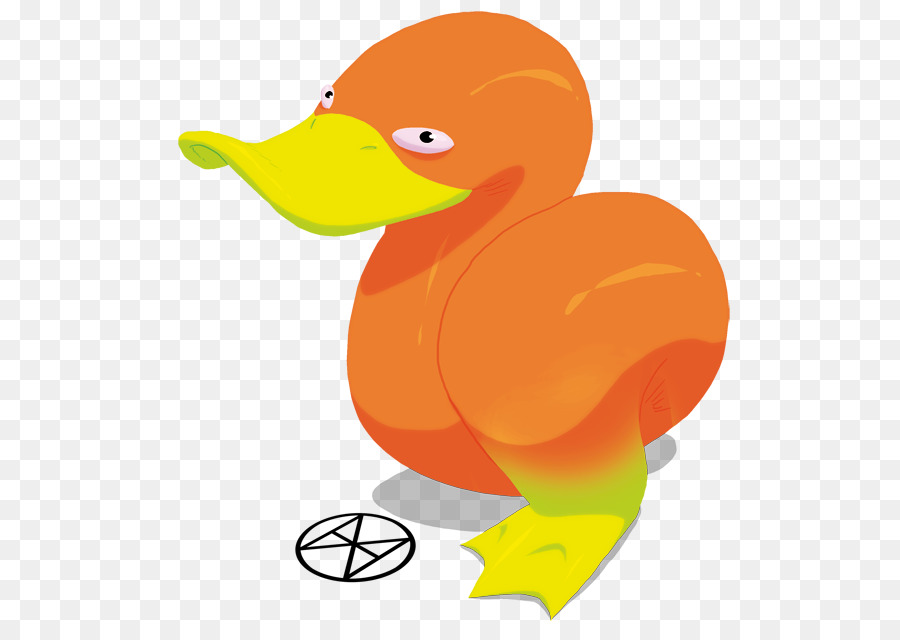 Pato，Pico PNG