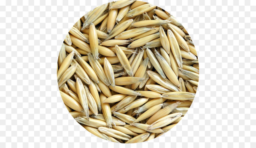 Avena，Cereal PNG