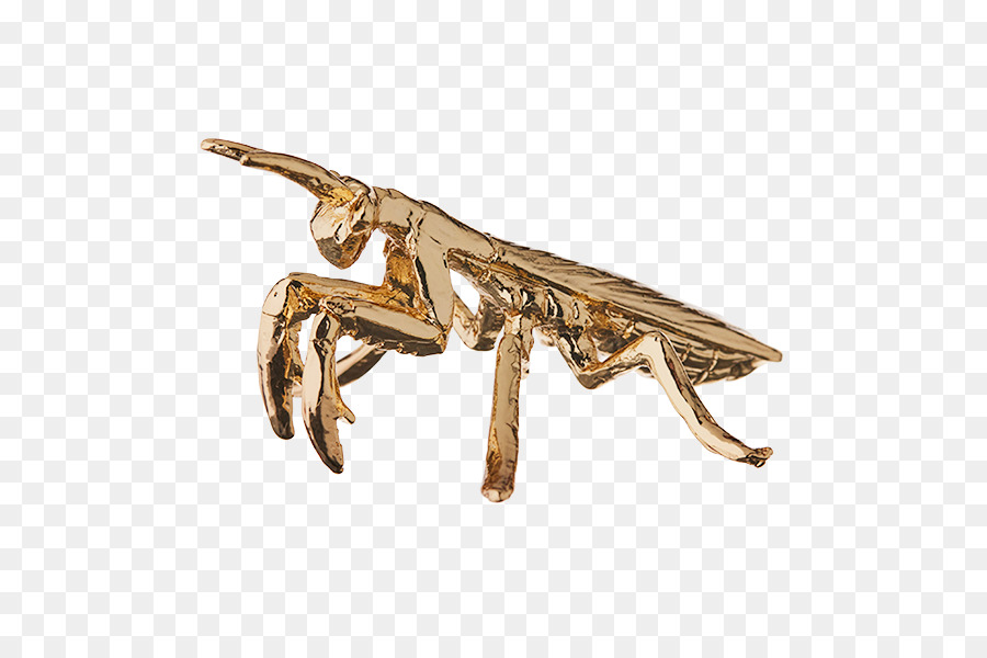 Chapado En Oro，Chapado PNG