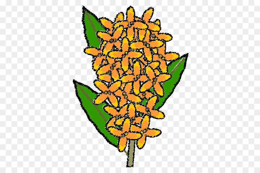 Osmanthus Fragrans Var Aurantiacus，La Pintura Monocromática PNG