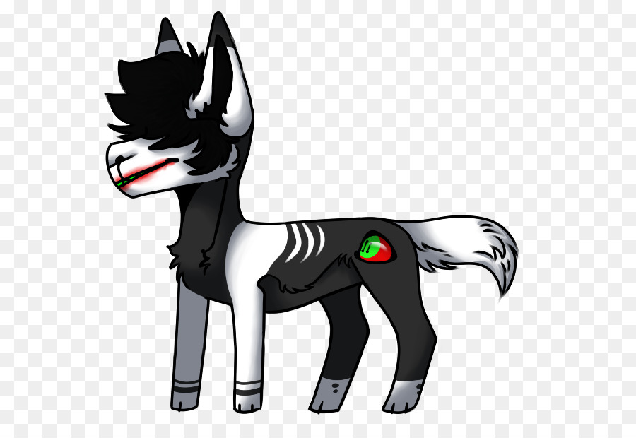 Gato，Caballo PNG