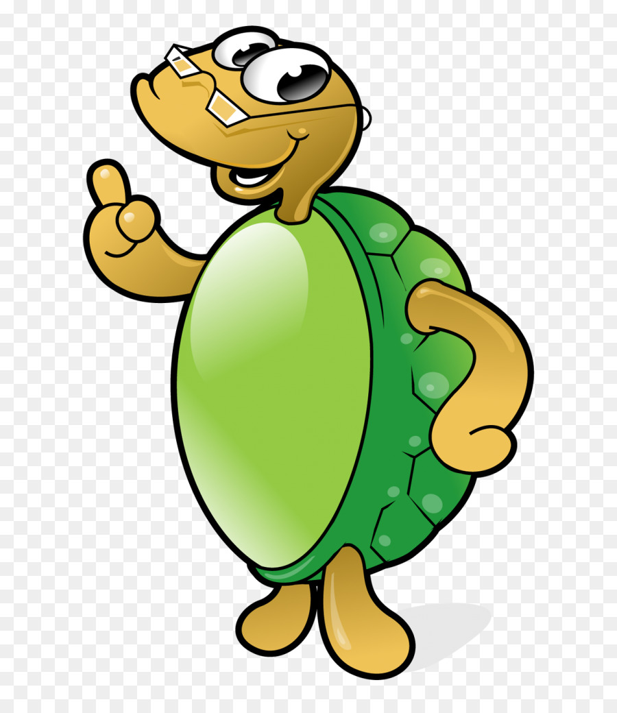 Tortuga，Anteojos PNG