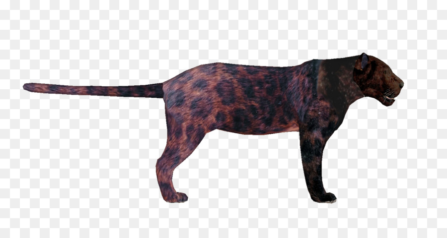 Raza De Perro，Labrador Retriever PNG