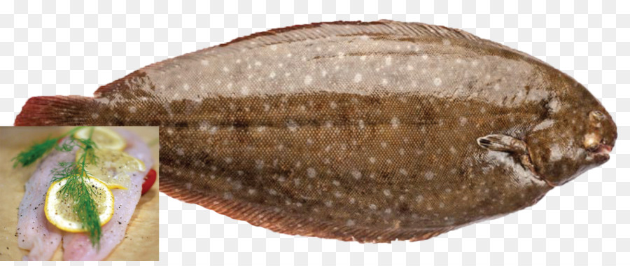 Los Productos De Pescado，La Tilapia PNG