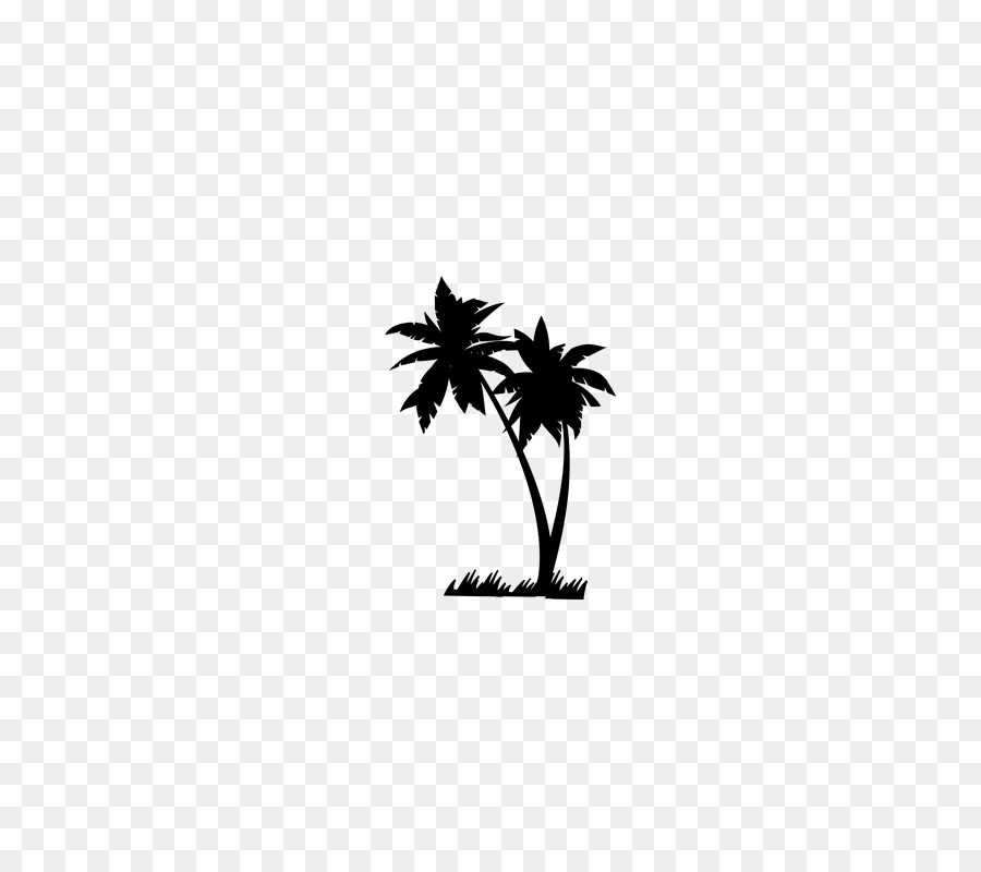 Palmera，Árbol PNG