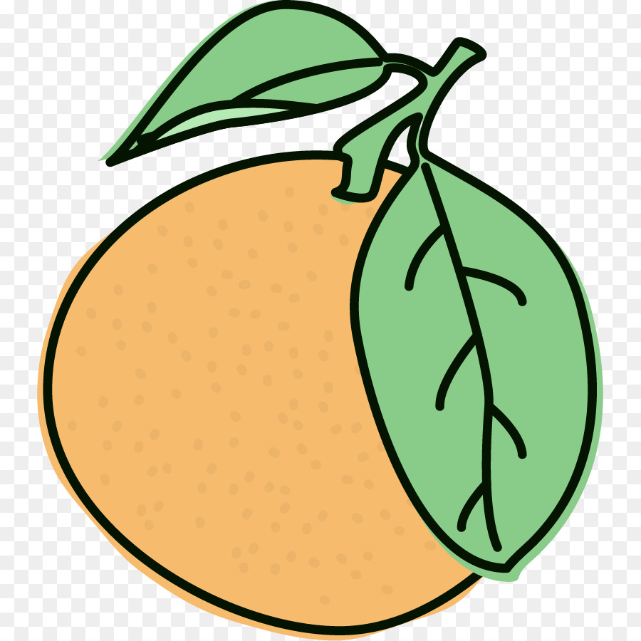 Naranja，Agrios PNG