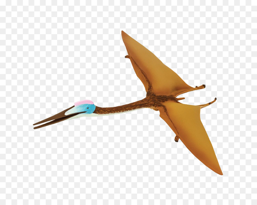 Quetzalcoatlus，Safari Ltd PNG