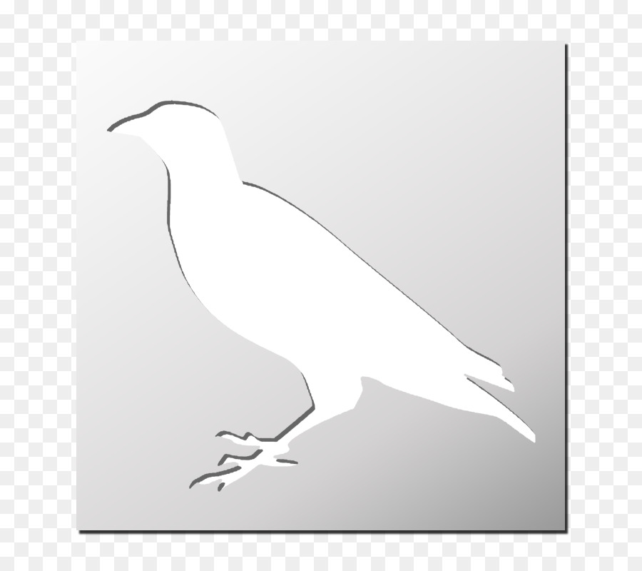 Aves，Plantilla PNG