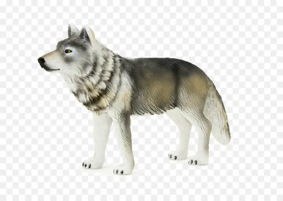 Perro Husky，Siberiano PNG