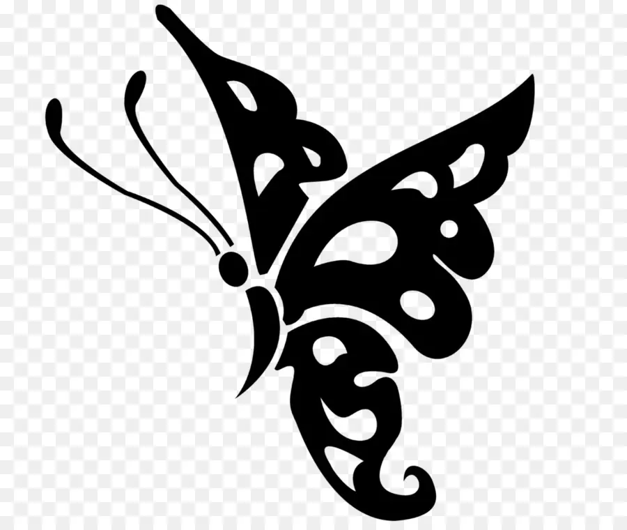 Mariposa，Dibujo PNG