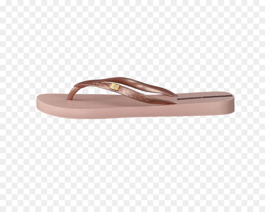 Chanclas Negras，Sandalia PNG