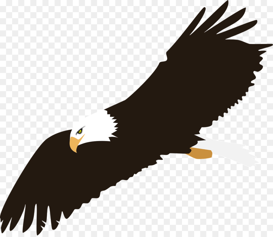 águila，Fondo De Escritorio PNG
