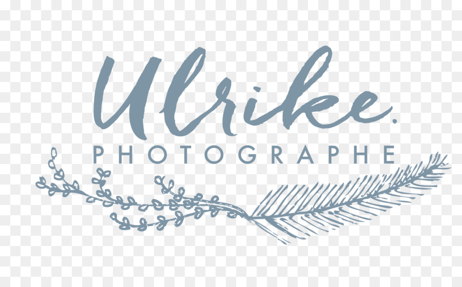 Fotografía De Ulrike，La Fotografía PNG