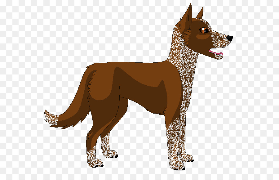 Raza De Perro，Perro PNG