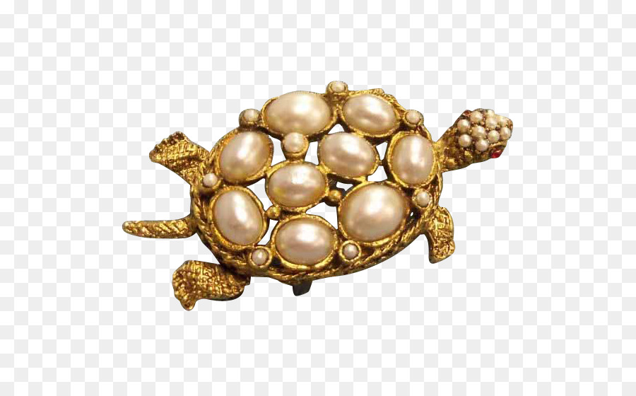 Broche，Tortuga PNG
