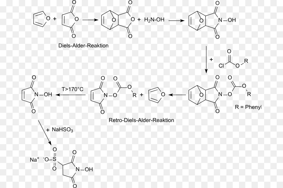 Nhydroxysulfosuccinimide La Sal De Sodio，Nhydroxysuccinimide PNG