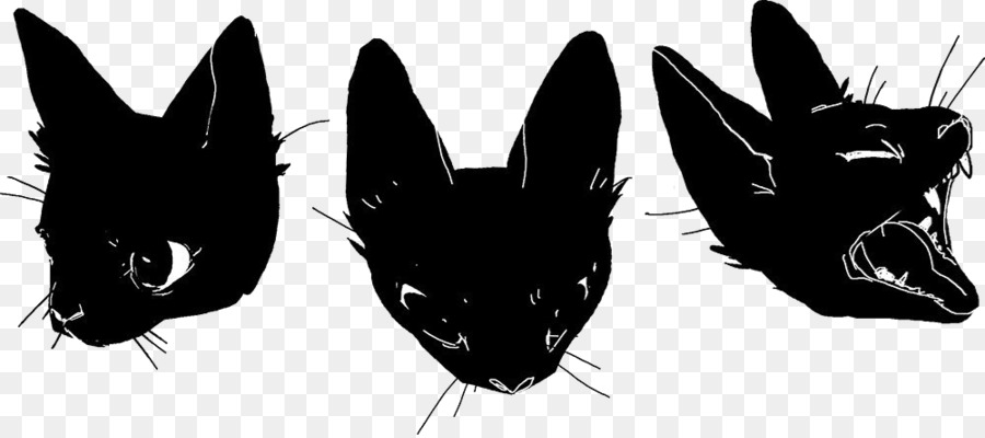 En Blanco Y Negro，Gato Negro PNG