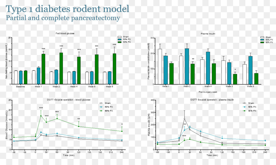 La Diabetes Tipo 1，La Diabetes Mellitus PNG