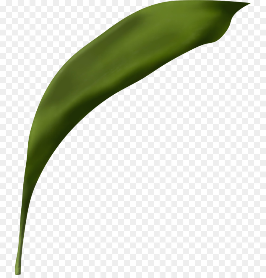 Hoja，Flor PNG