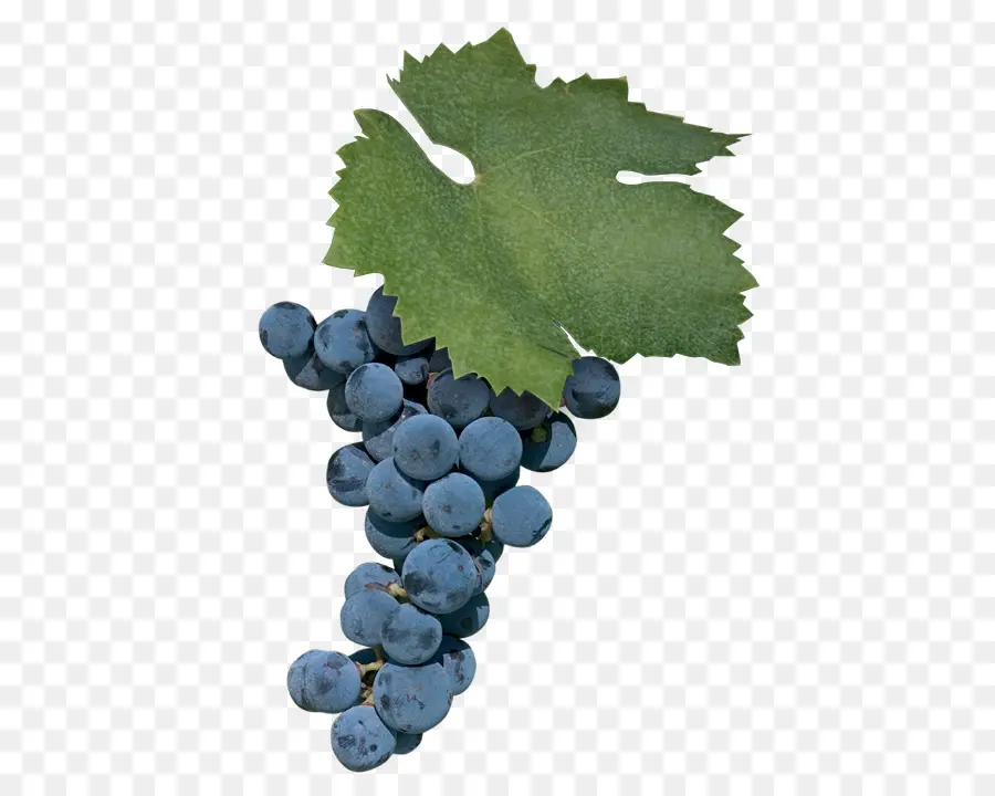 Uvas，Púrpura PNG