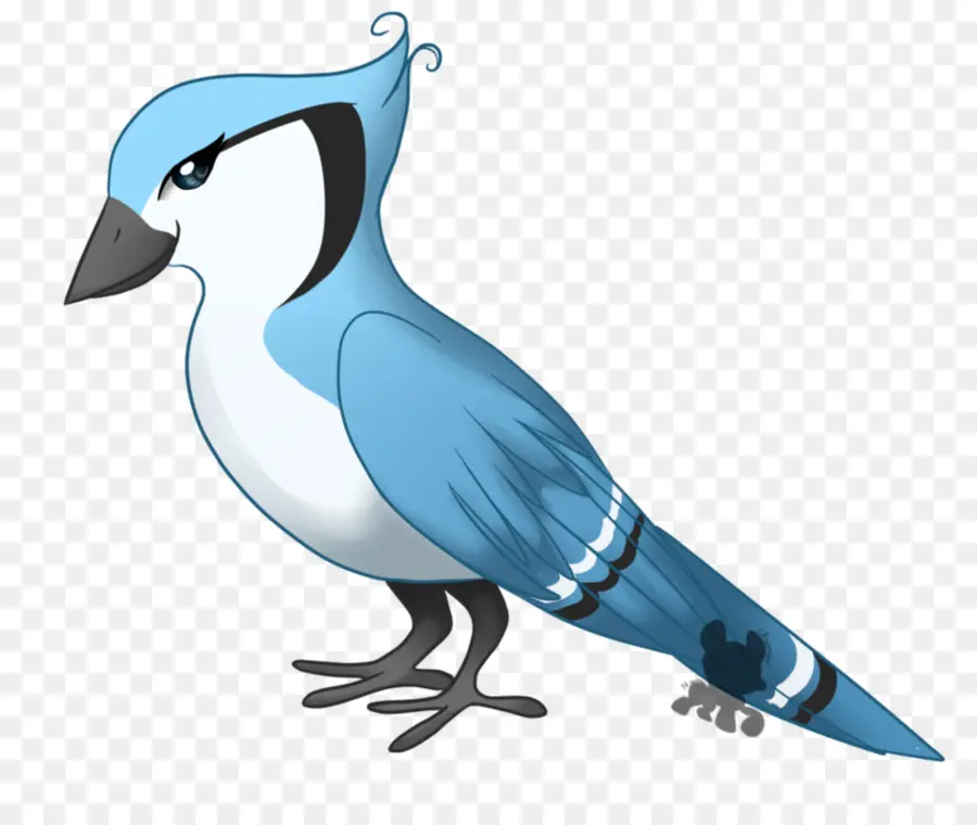 Pico，Aves PNG