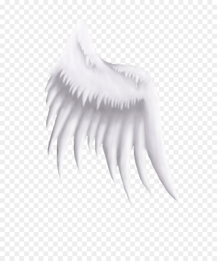 Cuello，Blanco PNG