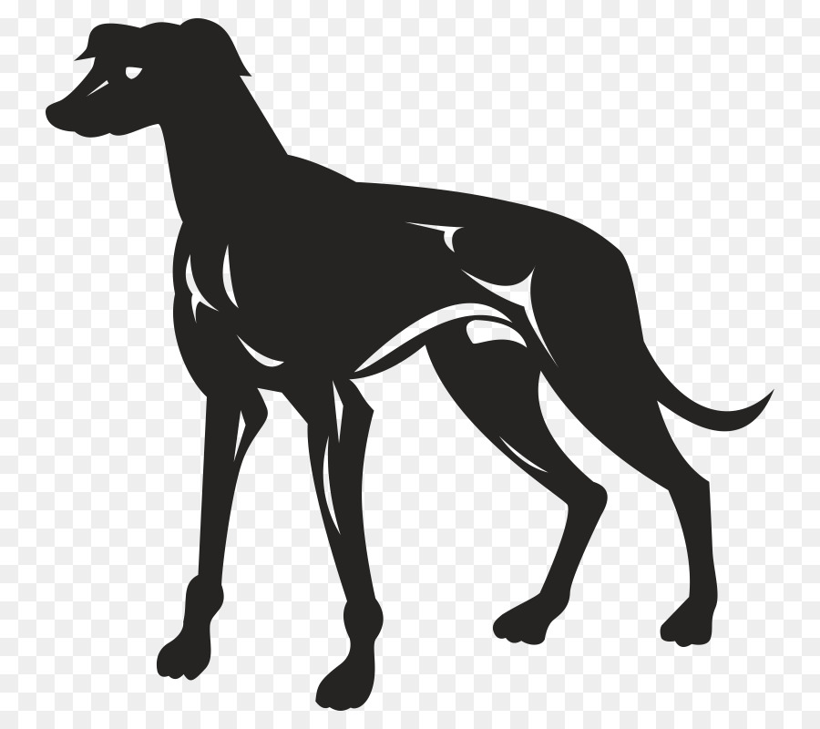 Greyhound Lines，Galgo PNG