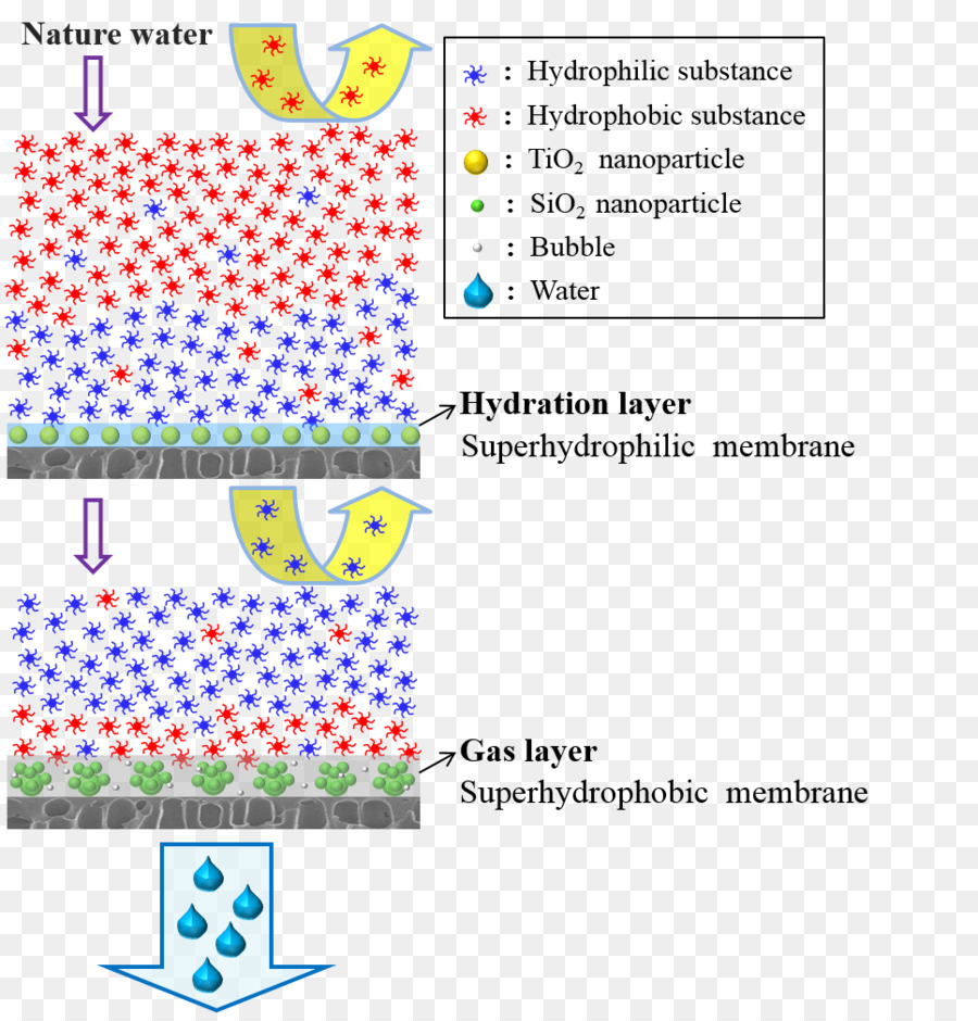Materia Orgánica，Nanofiltración PNG