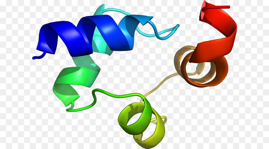 El Cuerpo De La Joyería，Línea PNG