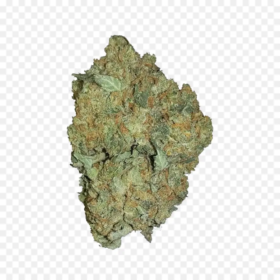 Cogollo De Cannabis，Verde PNG