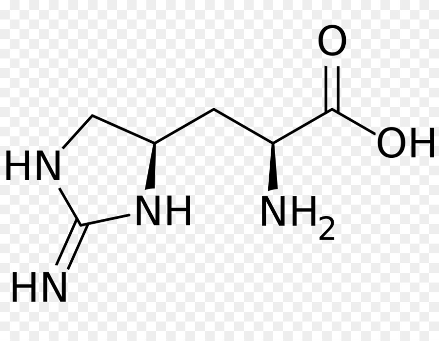 Estructura Química，Molécula PNG