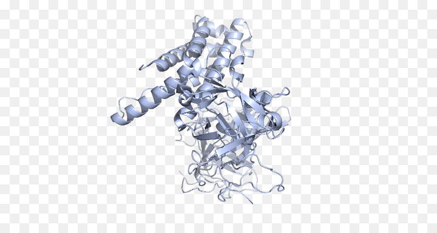 Estructura De La Proteína，Molécula PNG