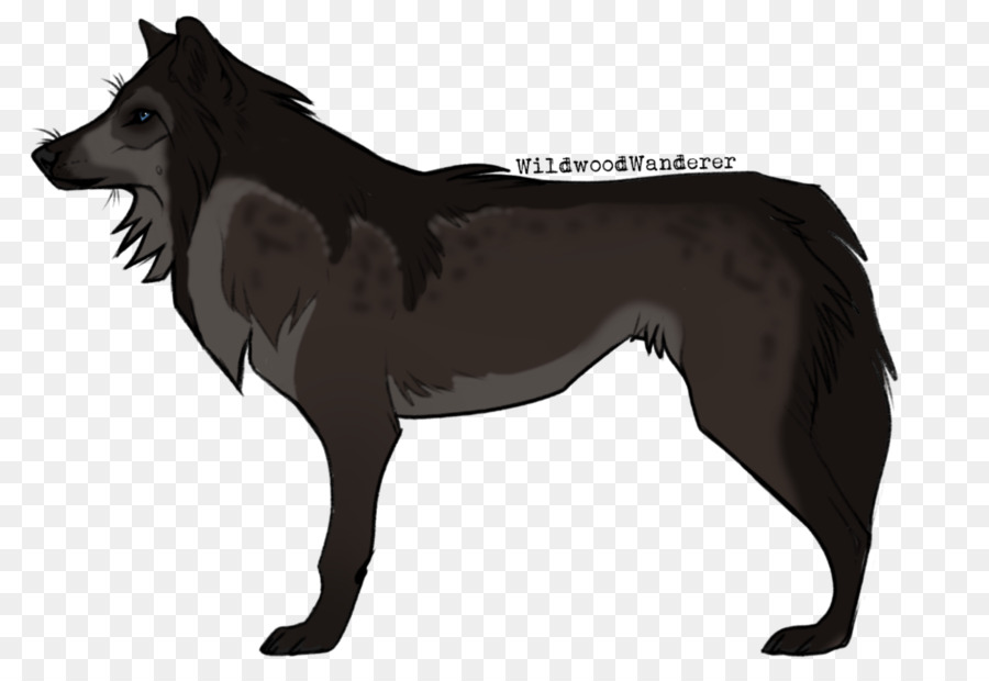 Schipperke，Criar PNG