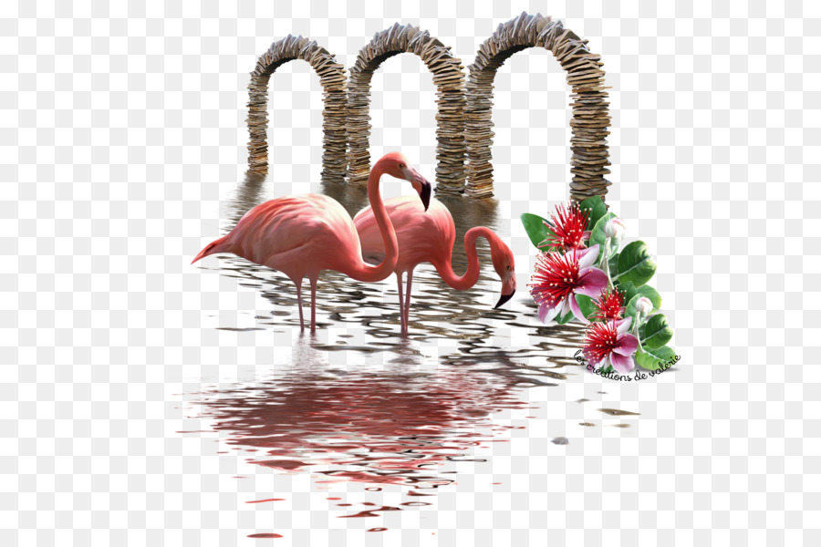 Pico，Flamingo PNG