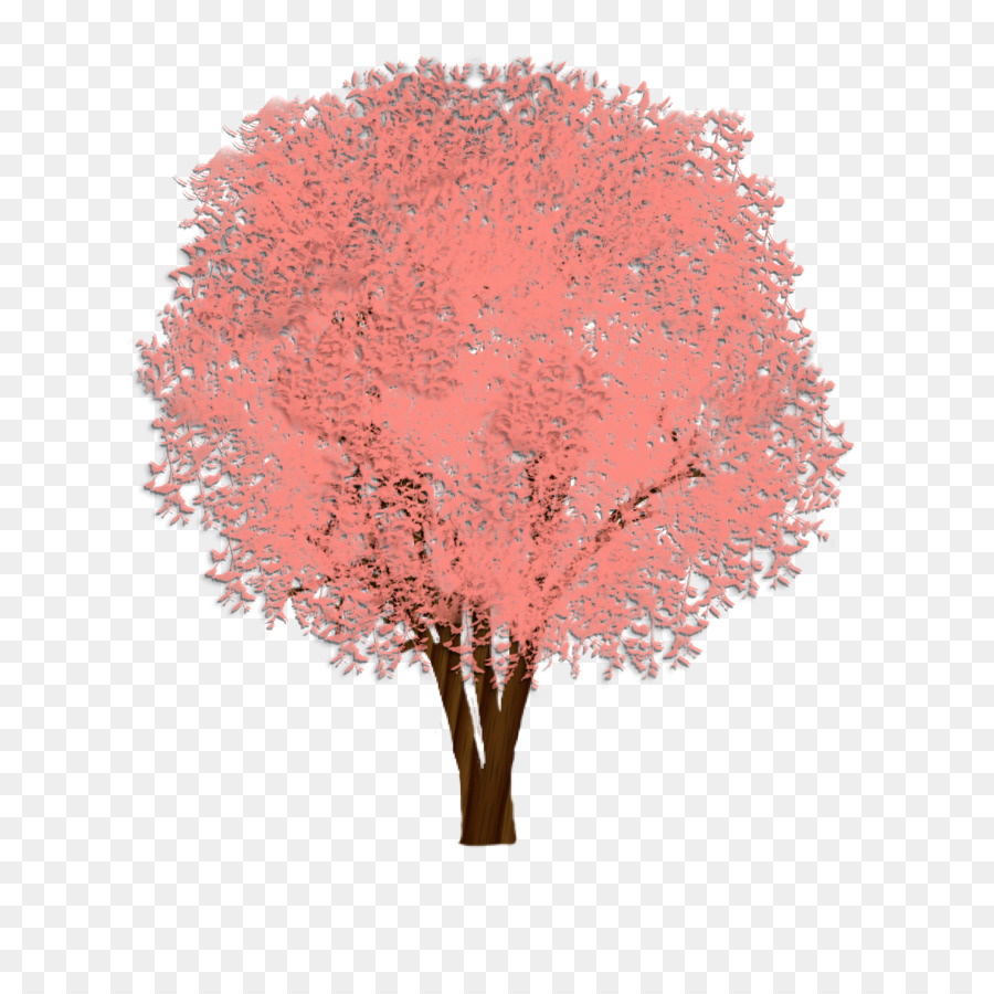 Árbol，árbol De Sombra PNG