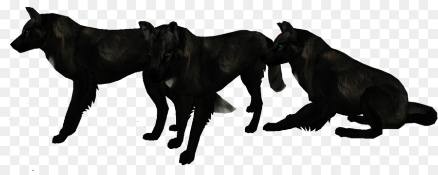 Perro，Lobo Negro PNG