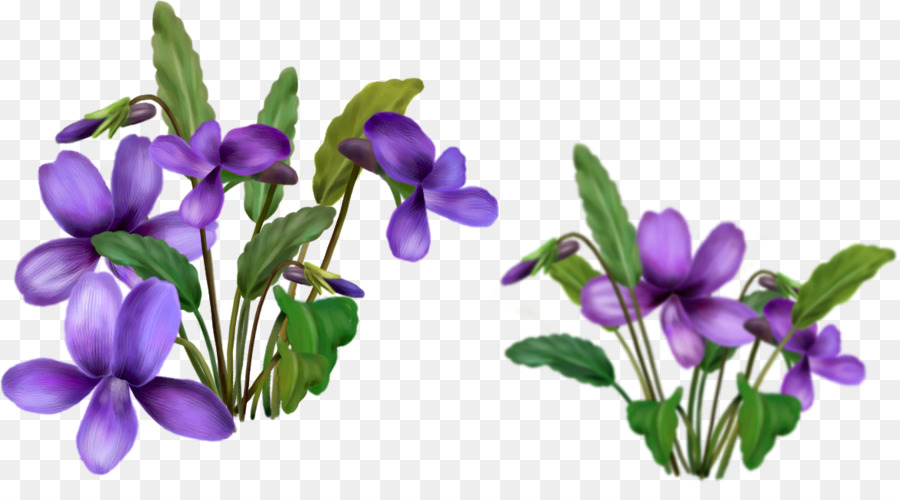 Flores Moradas，Florecer PNG