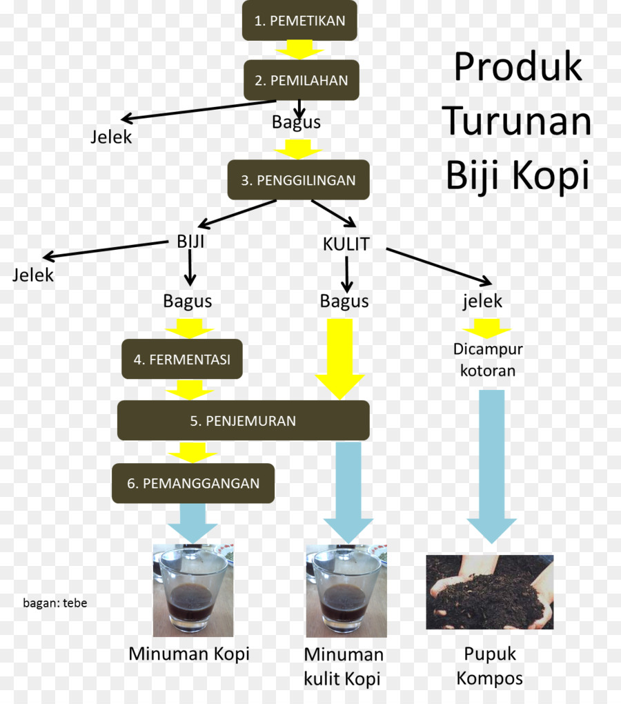 Café，El Grano De Café PNG