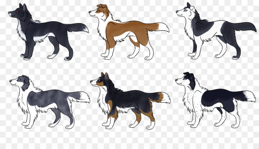 Border Collie，Old English Sheepdog PNG