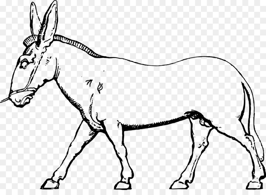 Mula，Burro PNG