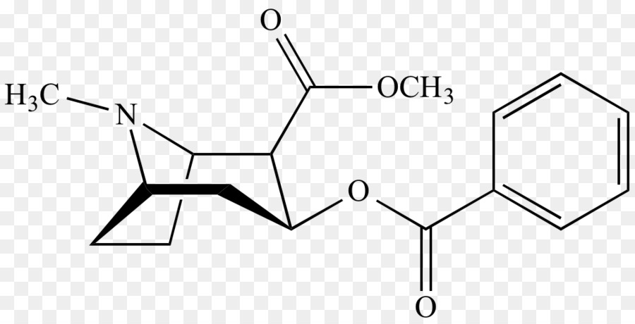 La Cocaína，Benzoilecgonina PNG