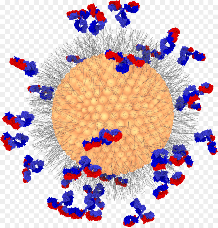 Virus，Anticuerpos PNG