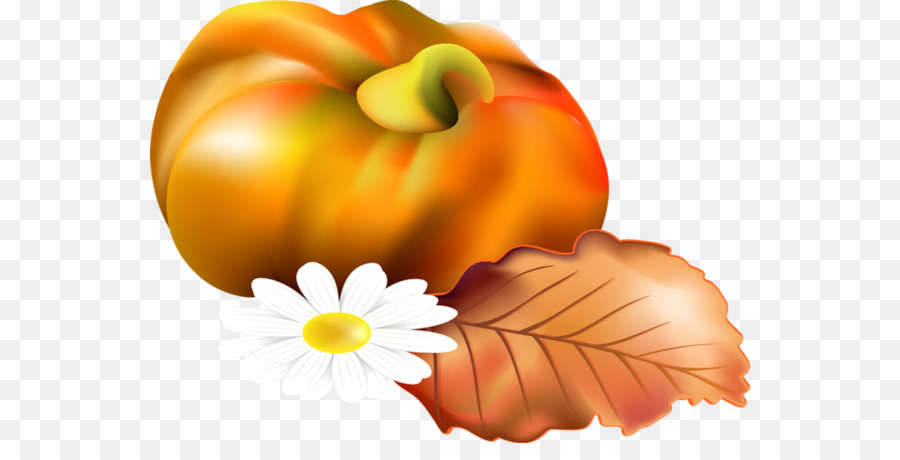 Calabaza，Calabaza De Invierno PNG