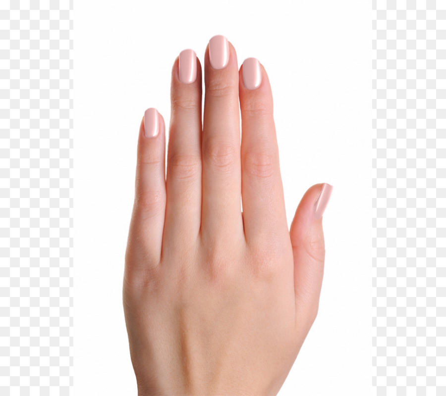 Uñas，De La Mano De La Modelo PNG