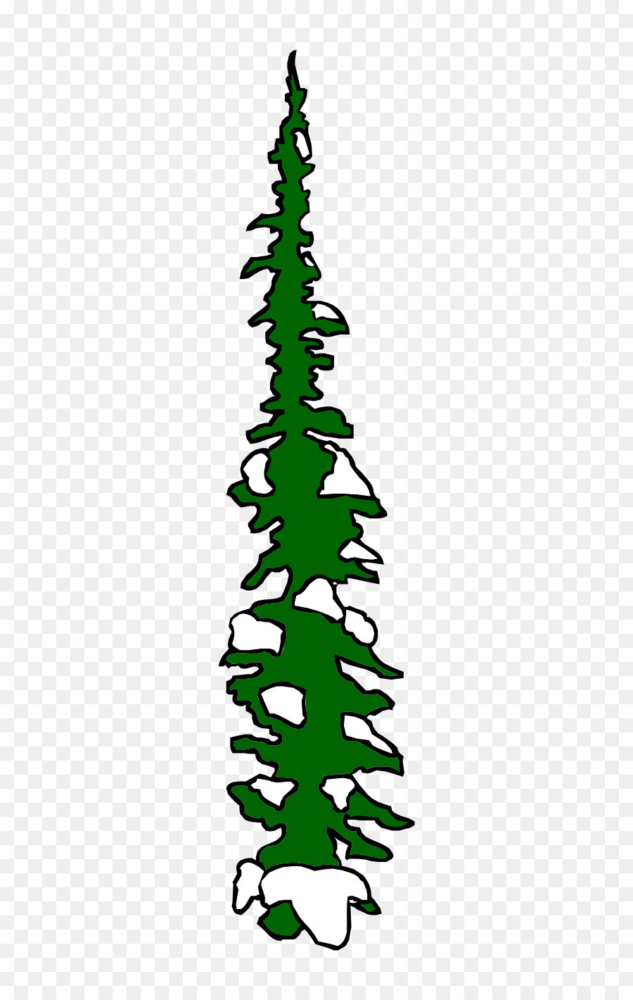 árbol De Navidad，Abeto PNG